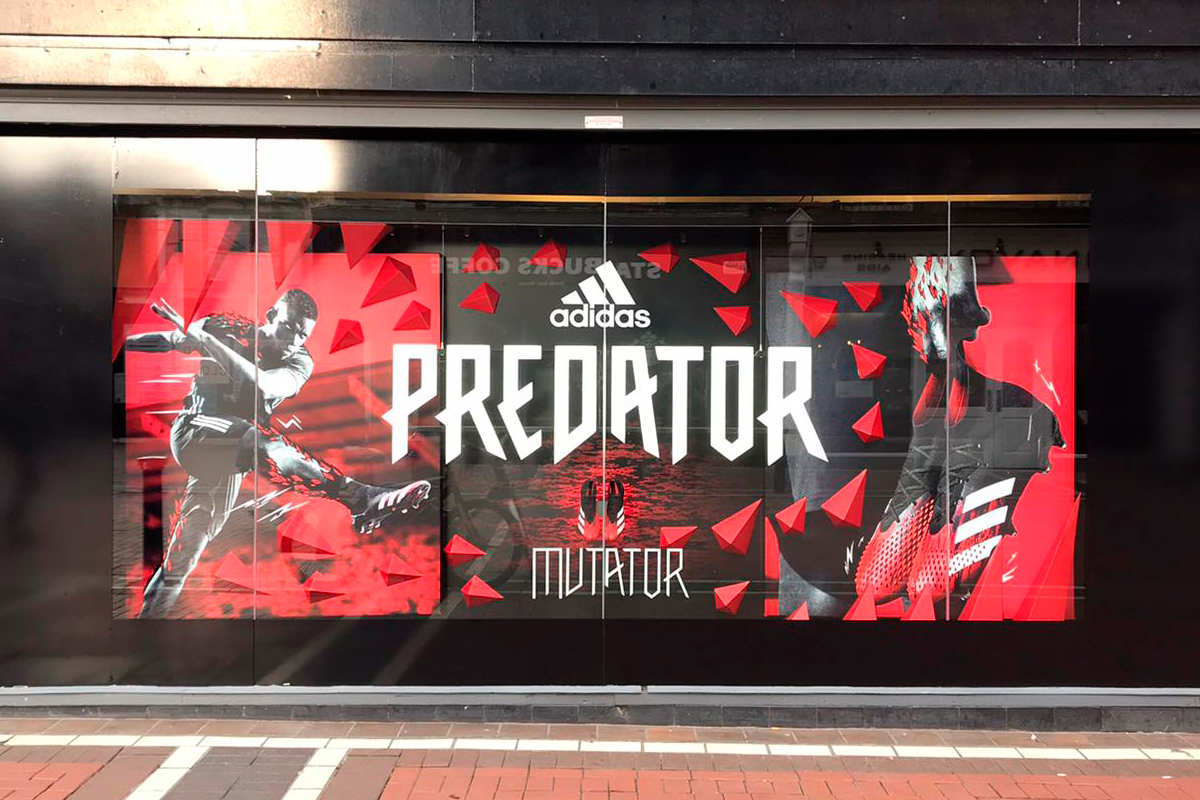 Adidas Predator window