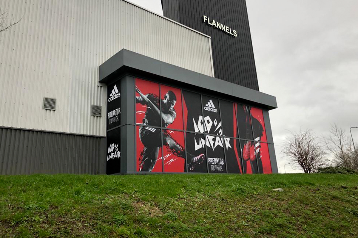 Adidas Predator window vinyl