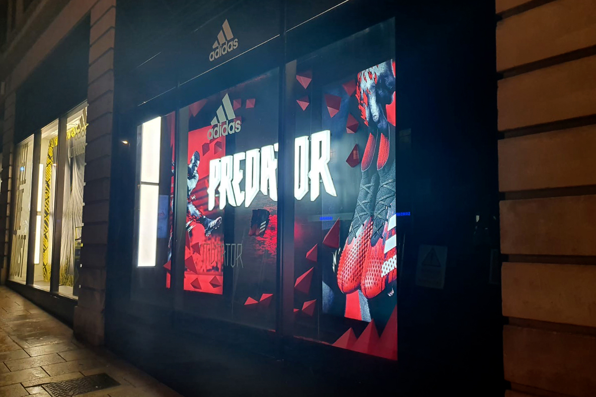 Adidas Predator window