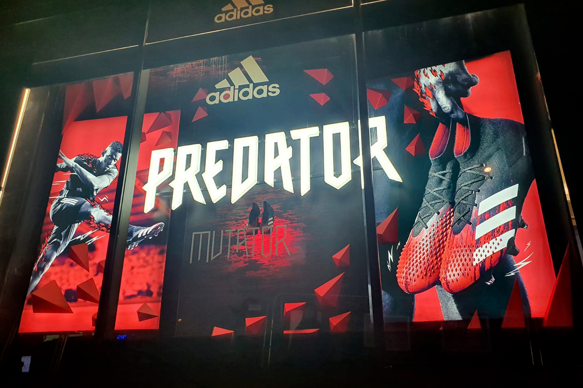 Adidas Predator window
